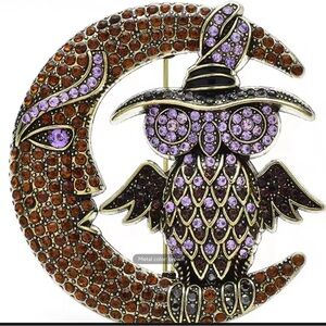 Purple and‎ Brown Owl and Moon Brooch